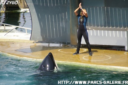 Marineland - 034