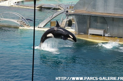 Marineland - 036