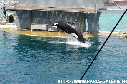 Marineland - 037