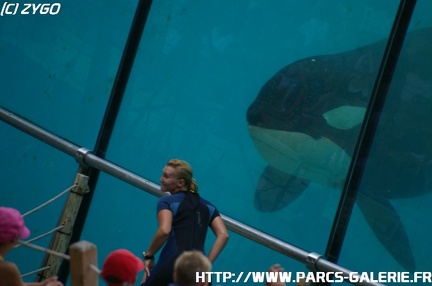 Marineland - 039