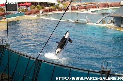 Marineland - 042