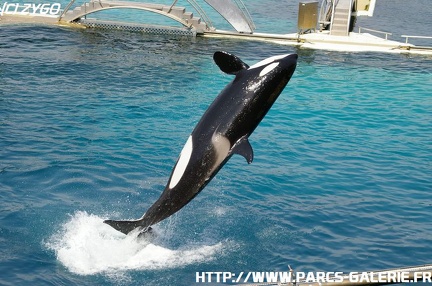 Marineland - 043