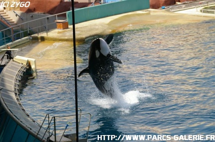 Marineland - 044