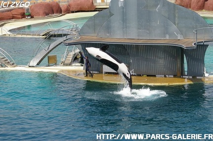 Marineland - 045