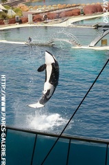 Marineland - 047