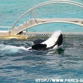 Marineland - 049