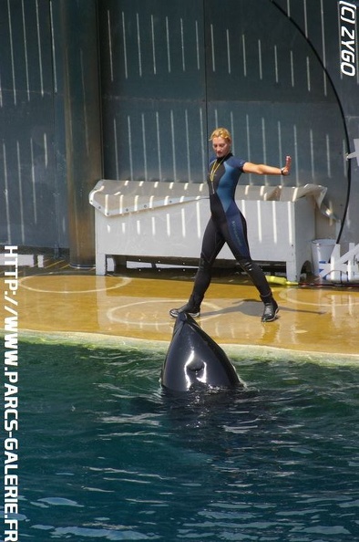 Marineland_-_052.jpg