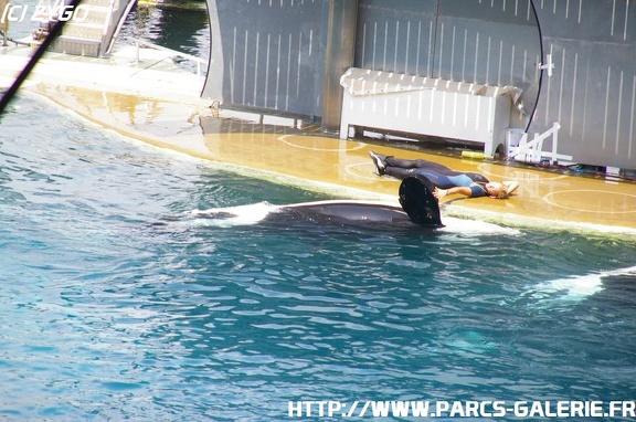 Marineland - 053