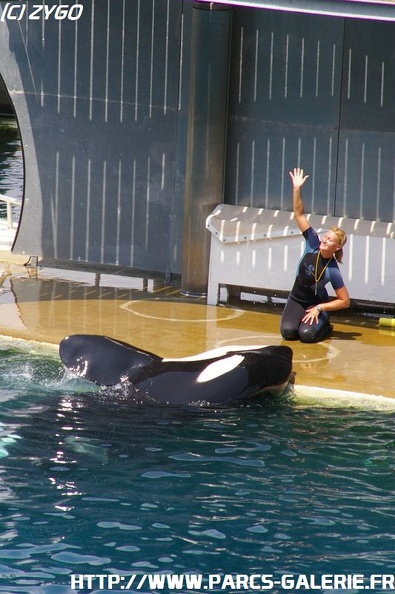 Marineland - 054