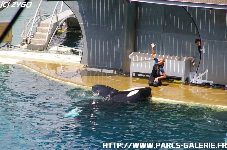 Marineland - 055