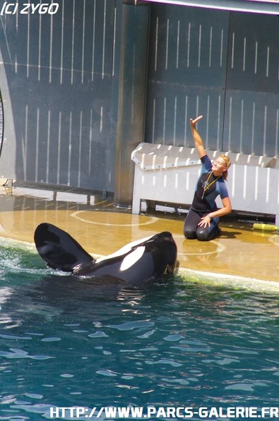 Marineland_-_056.jpg