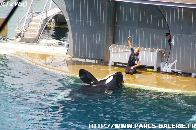 Marineland - 057