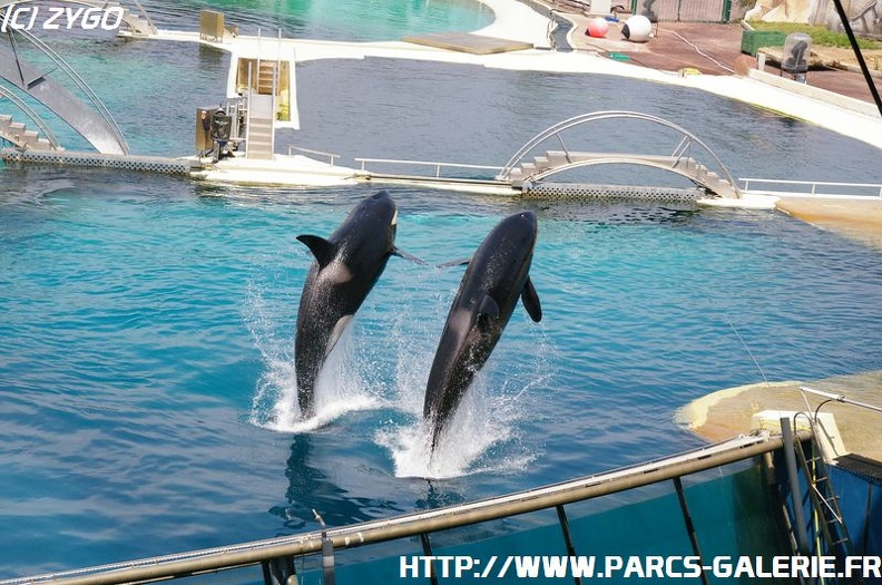 Marineland - 061