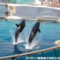 Marineland - 061