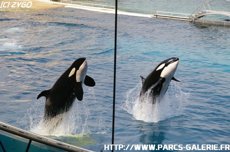 Marineland - 062