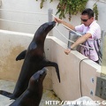 Marineland_-_006.jpg