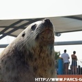 Marineland - 002