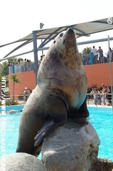 Marineland - 003