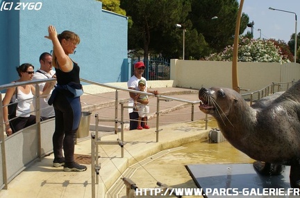 Marineland - 004