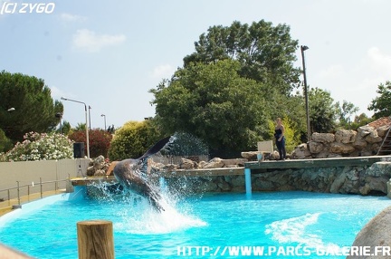 Marineland - 006