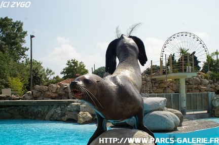 Marineland - 011