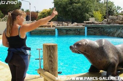 Marineland - 012