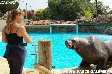 Marineland - 013