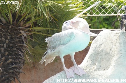 Marineland - 001