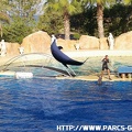 Marineland - 006