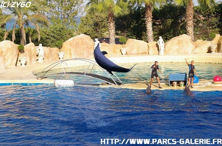 Marineland - 006