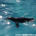 Marineland - 006