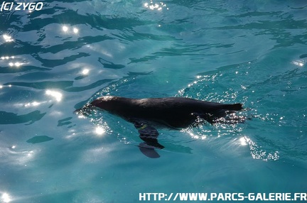 Marineland - 006