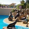 Marineland - 006