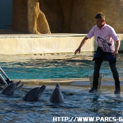 Marineland - dauphins - apprentissage