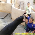 Marineland_-_12_Octobre_2008_-_076.JPG