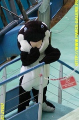 Marineland - 001