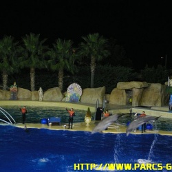 Marineland - Dauphins - Spectacle 18h00