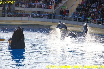 Marineland - 09 Novembre 2008 - 004