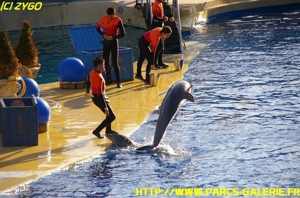 Marineland - 09 Novembre 2008 - 005