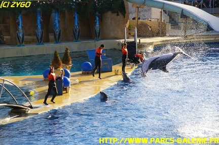 Marineland - 09 Novembre 2008 - 006