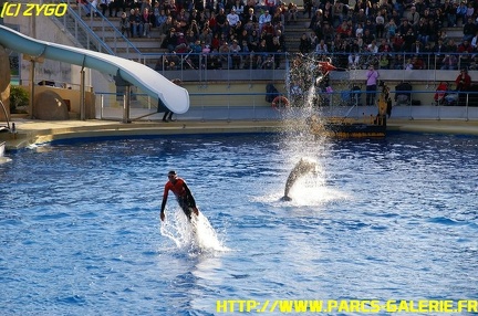 Marineland - 09 Novembre 2008 - 007