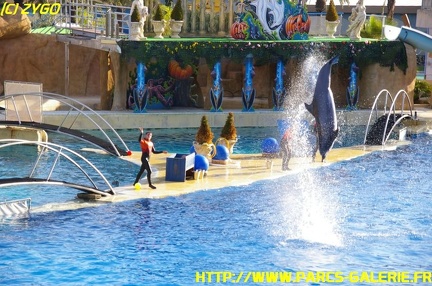 Marineland - 09 Novembre 2008 - 008