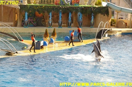 Marineland - 09 Novembre 2008 - 010