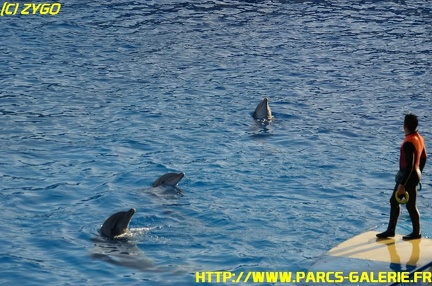 Marineland - 09 Novembre 2008 - 014