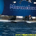 Marineland - 09 Novembre 2008 - 067