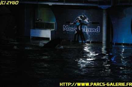 Marineland - 09 Novembre 2008 - 169