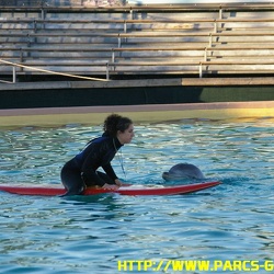 Marineland - Lagoon - Apprentissage dauphins