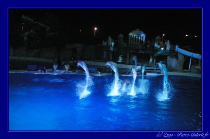 Marineland - 002