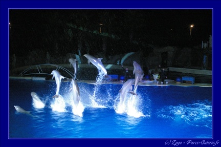 Marineland - 004