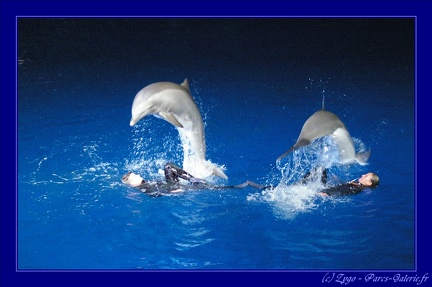 Marineland - 006